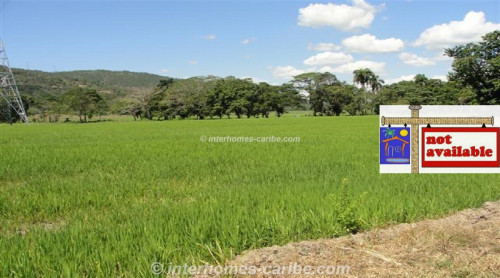 photos for LA VEGA: PRODUCING RICE FARM